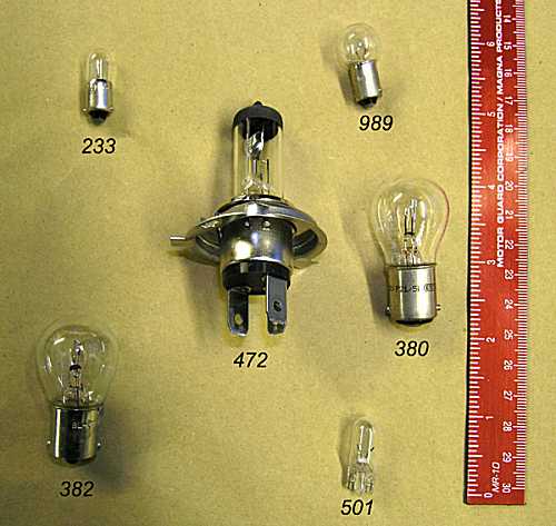 [ bulbs ]