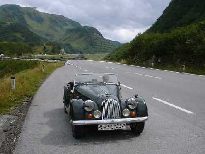 [ Morgan without snow ]