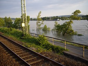 [ View ]